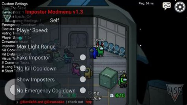 Among Us Mods and Cheats