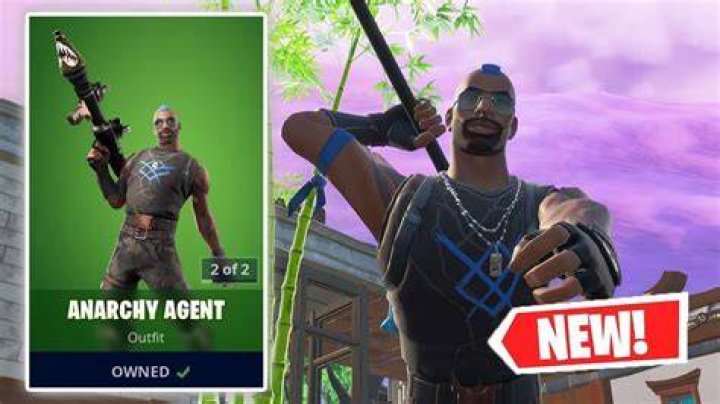Anarchy Agent skin