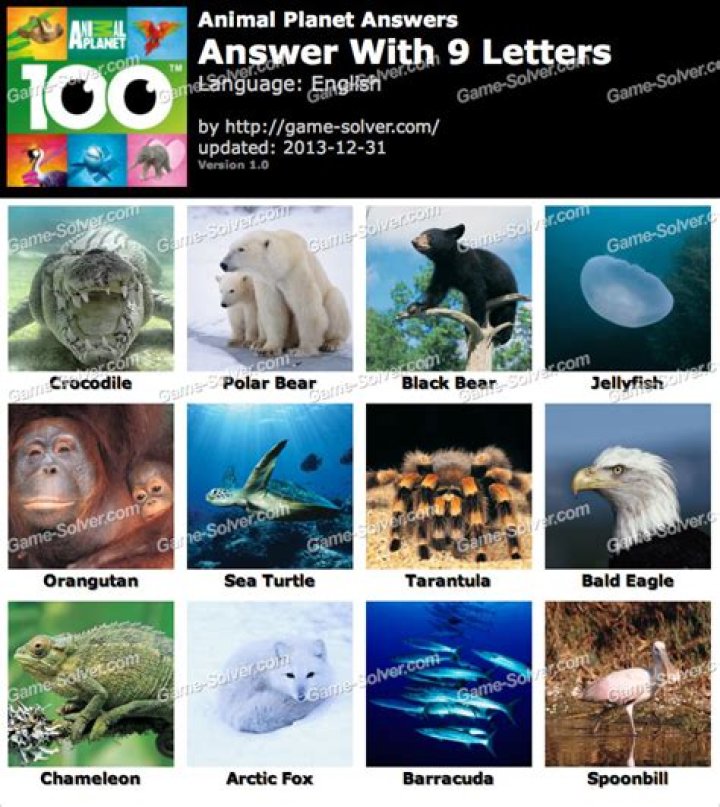Animal Planet 9 Letters Animal Planet 9 Letters