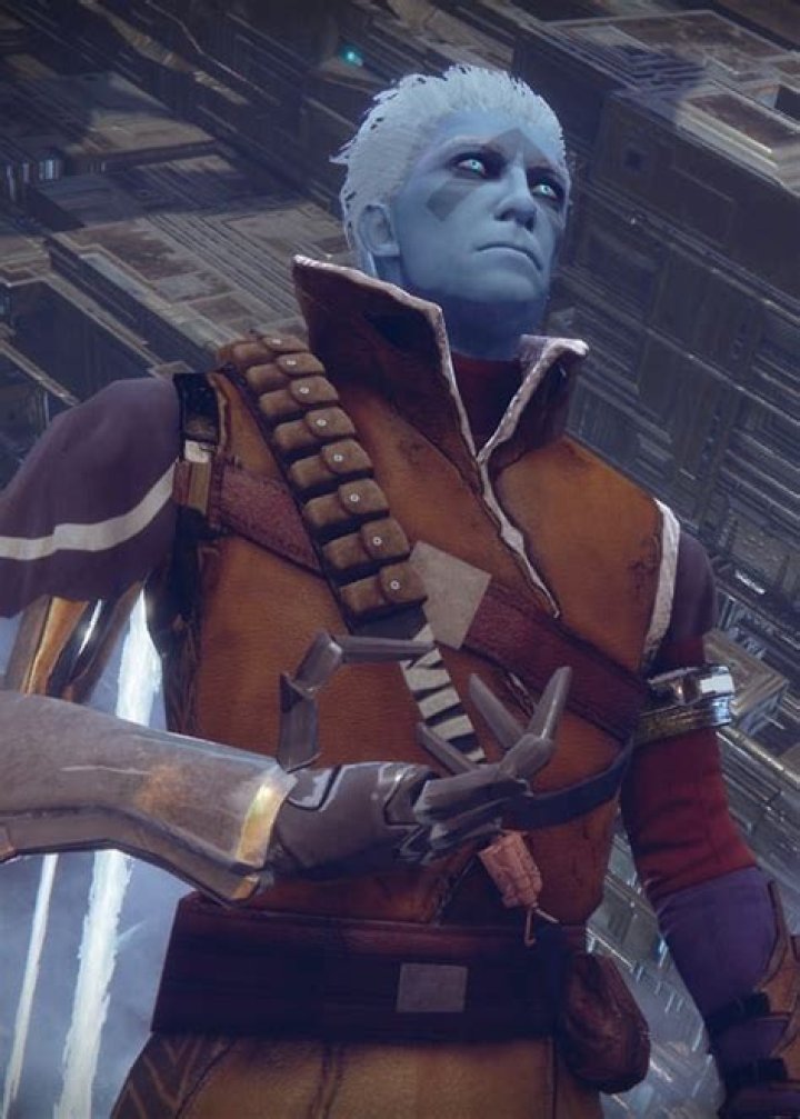Asher Mir