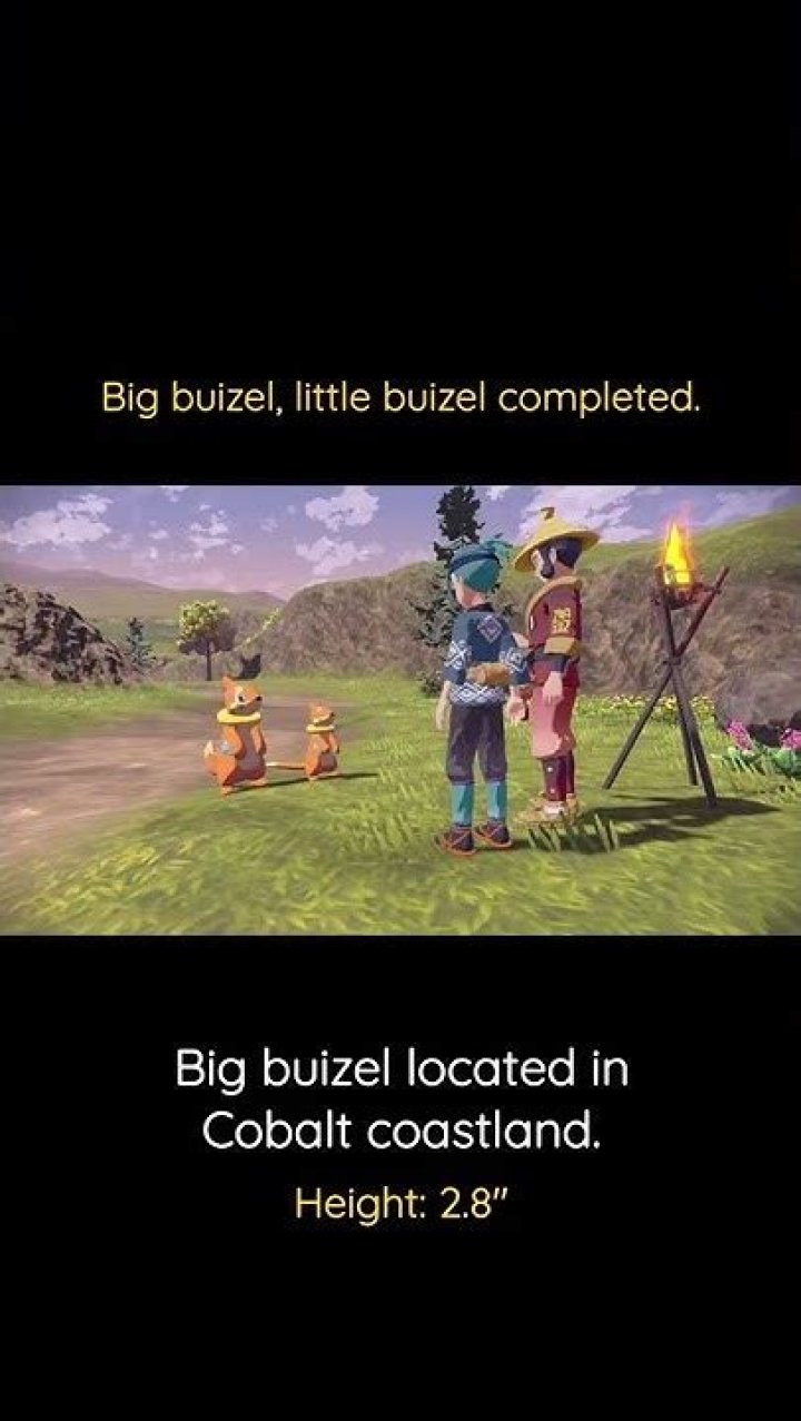 Big-Buizel