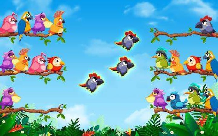 Bird Sort Color Puzzle Game - Hang Nguyen Minh 1 Bird Sort Color Puzzle Game