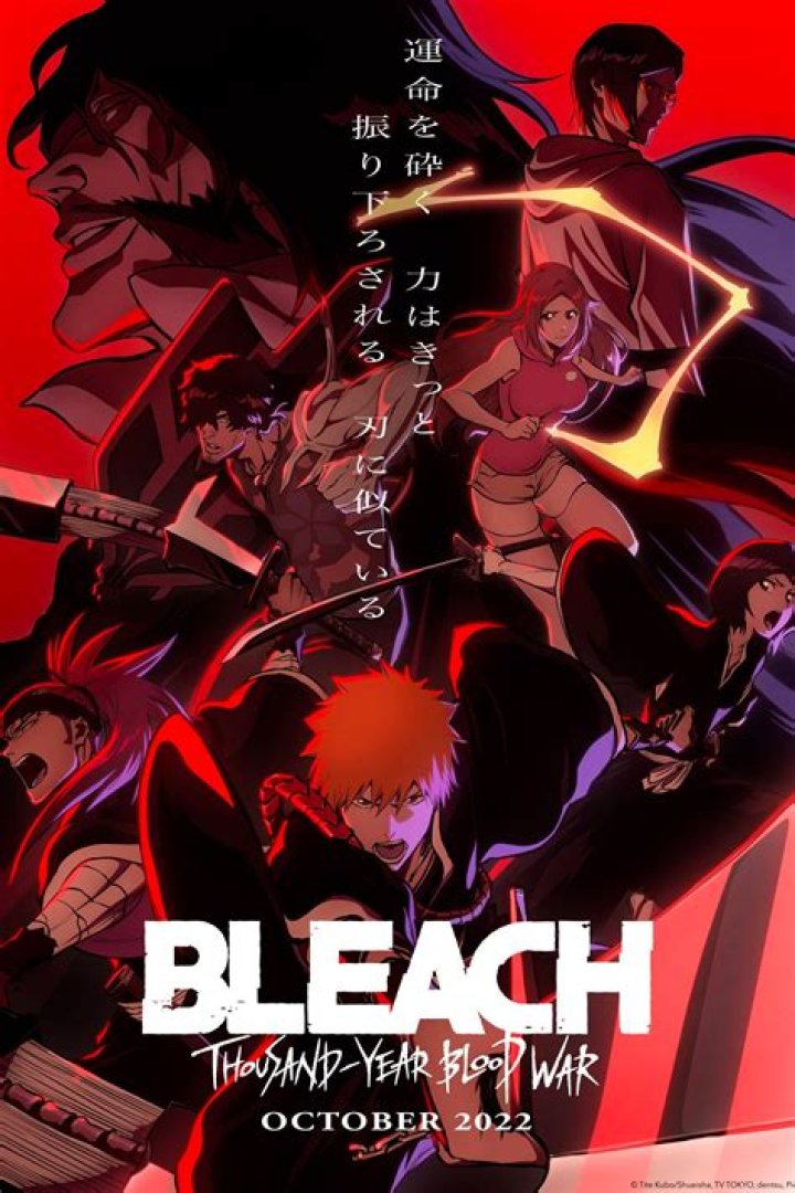 Bleach: Thousand-Year Blood War Watch Order, Explained