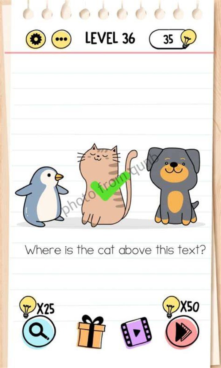 Brain Test Level 36 Answers