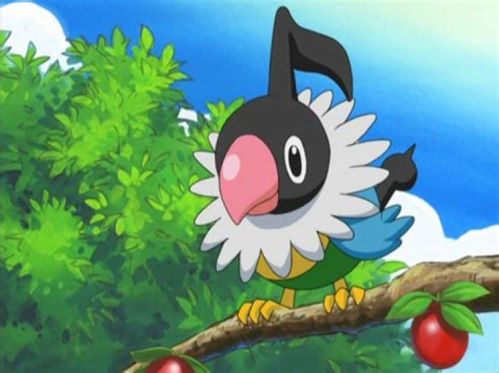 Chatot