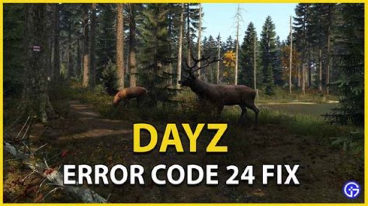 DayZ Error Code 24 Fix (100% Working 2021)