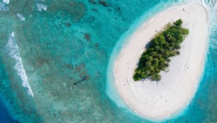 Desert Island Survival