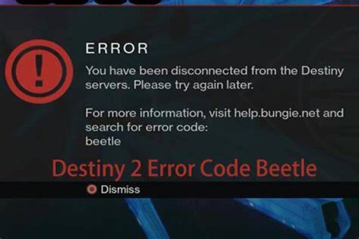 Destiny 2 Beetle Error Fix