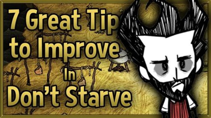 Don't Starve Tips And Tricks