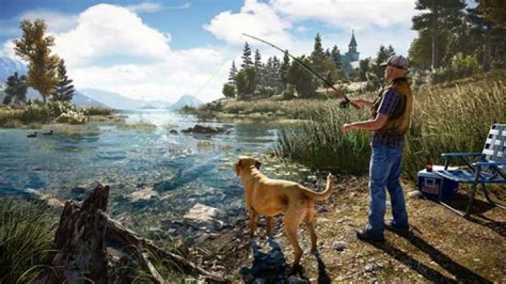 Far Cry 5 Console Commands PC
