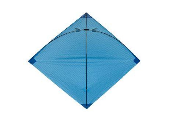 Fighter Kite