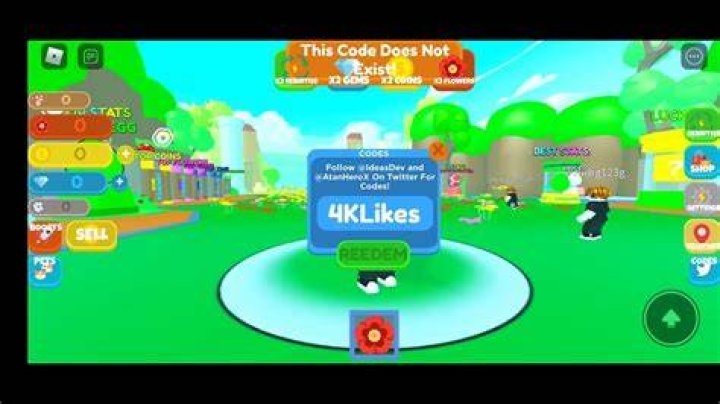 Flower Magnet Simulator Codes (June 2022)