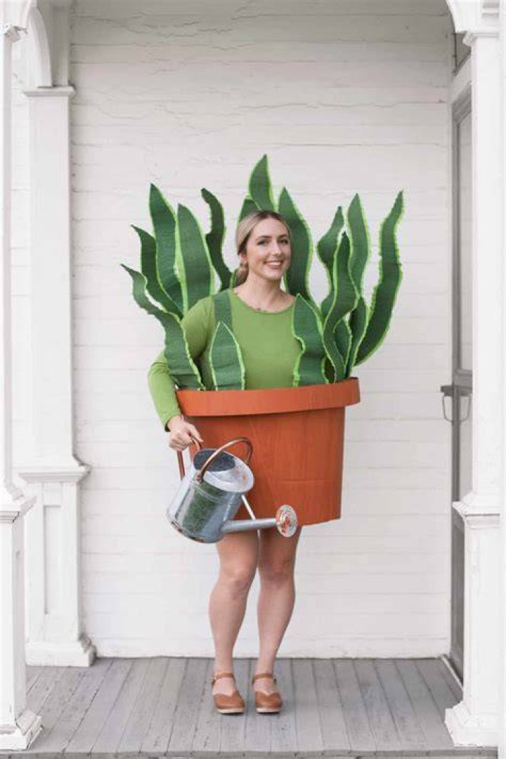 funny halloween costume