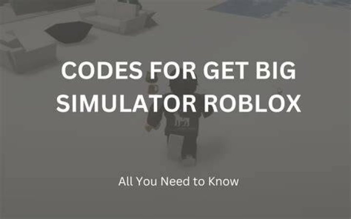 Get Big Simulator Codes (June 2022)