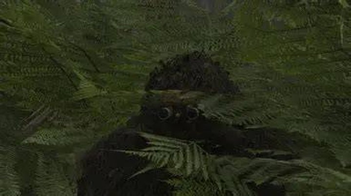Ghost Recon Breakpoint binoculars