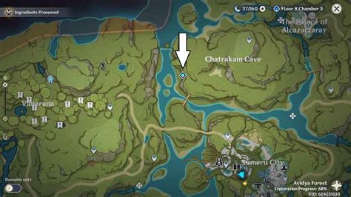 Guide to Praxis - Pro Game Guides