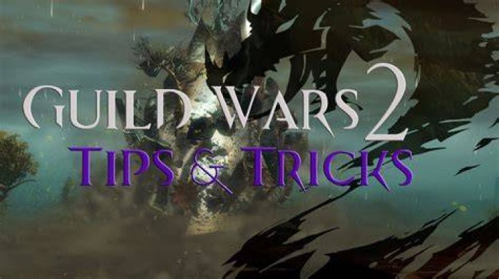 Guild Wars 2 Tips & Tricks for Beginners | Newbie Guide