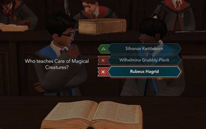 Harry Potter: Hogwarts .. - What does Professor Vector teach?
