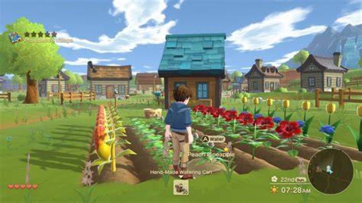 
Harvest Moon: One World Update 1.01 Patch Notes