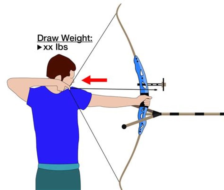 How Bows and Arrows Work in Palworld