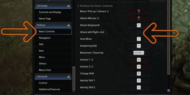 How To Change Mouse Controls In Lost Ark