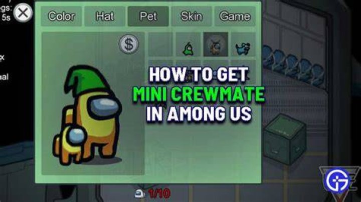 How To Get Mini Crewmate & Equip It Easily