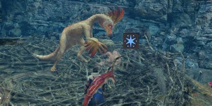 How To Get Quality Wyvern Egg In Monster Hunter Rise