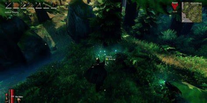 How To Get Thistle In Valheim