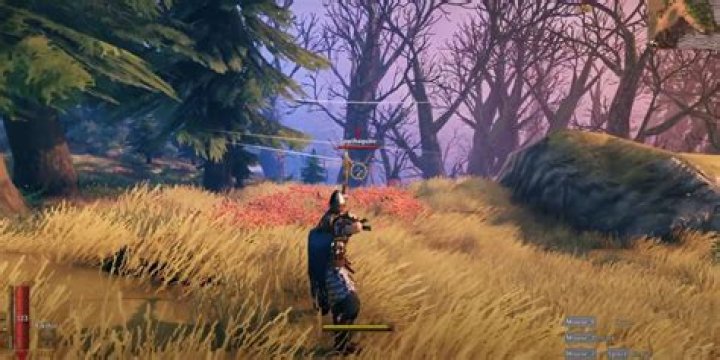 How to kill Deathsquitos in Valheim