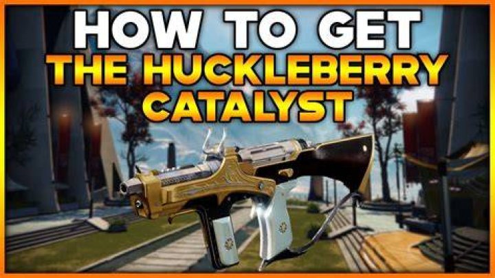 Huckleberry Catalyst Guide