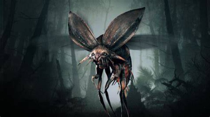 Hunt Showdown bug news