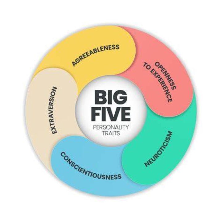 Image for Five of the Best: Health pick-ups