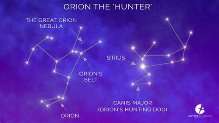 Image for Orion dev admits his game ripped off Call of Duty assets