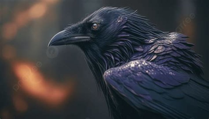 Image for Raven's Cry review