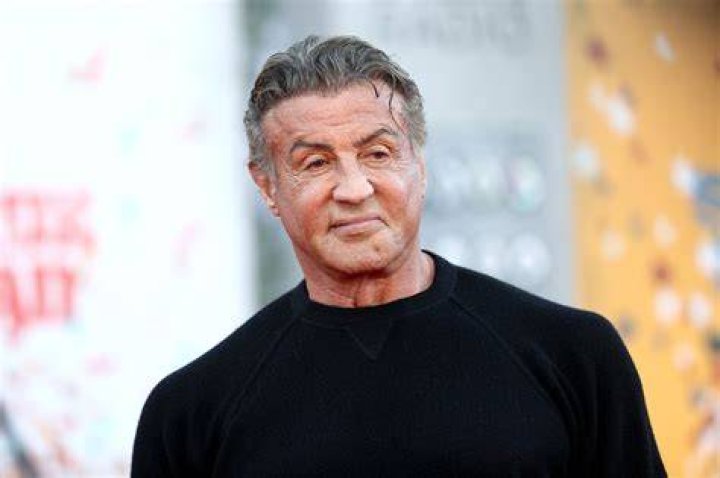 Is Sylvester Stallone intelligent?