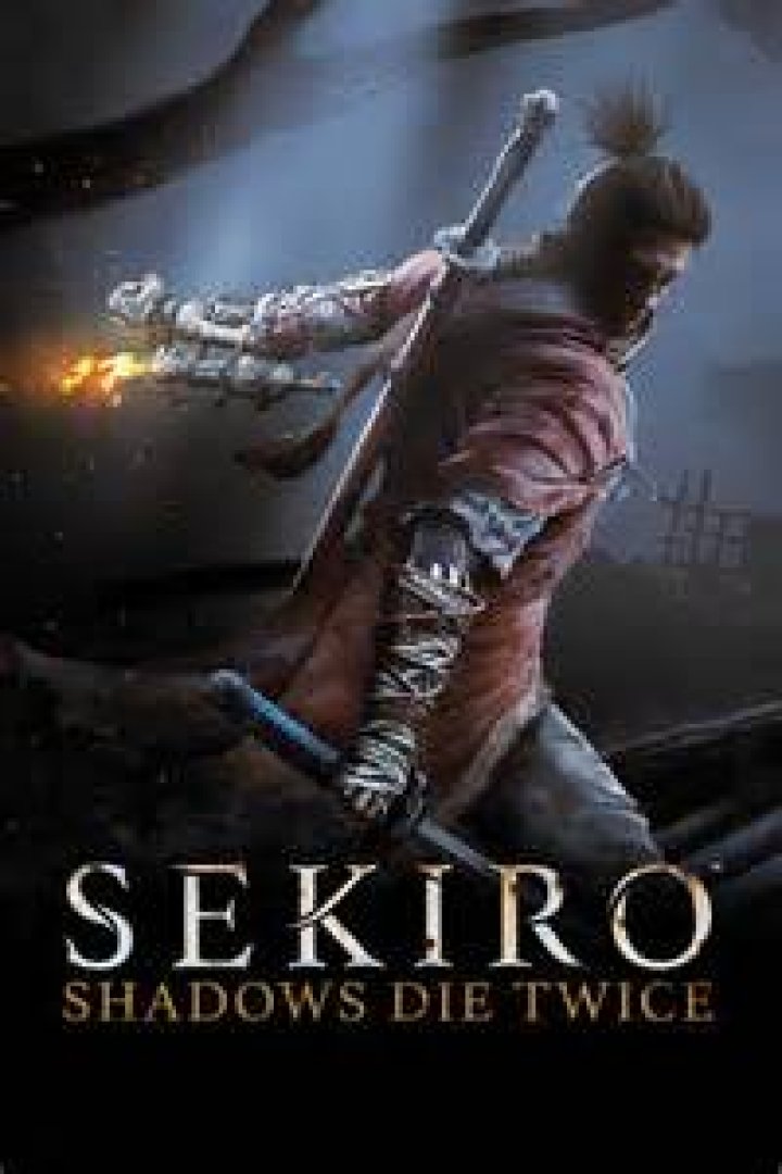 Is There a Sekiro Shadows Die Twice Switch Release?