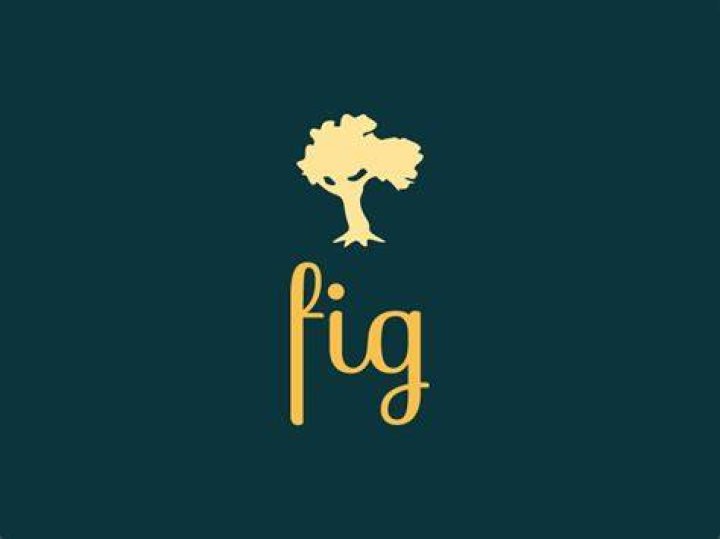 Logo of fig.