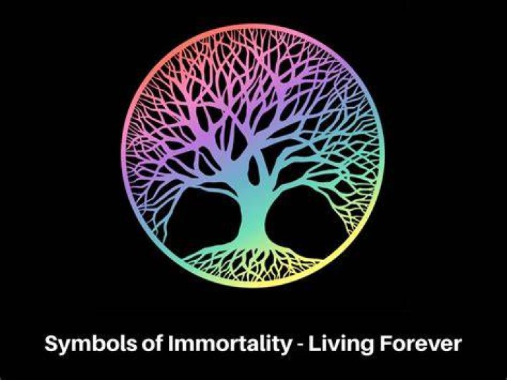 Logo of Immortality