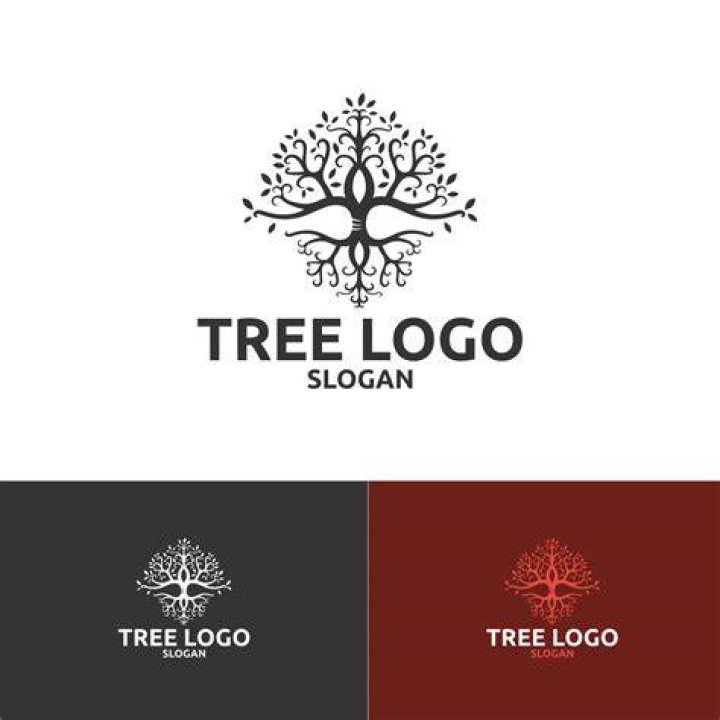 Logo of The First Tree