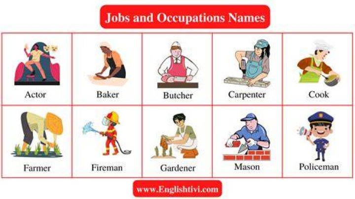 Main Jobs