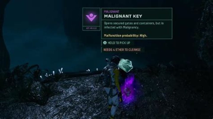 Maligant Keys