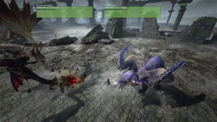 MHR Fight
