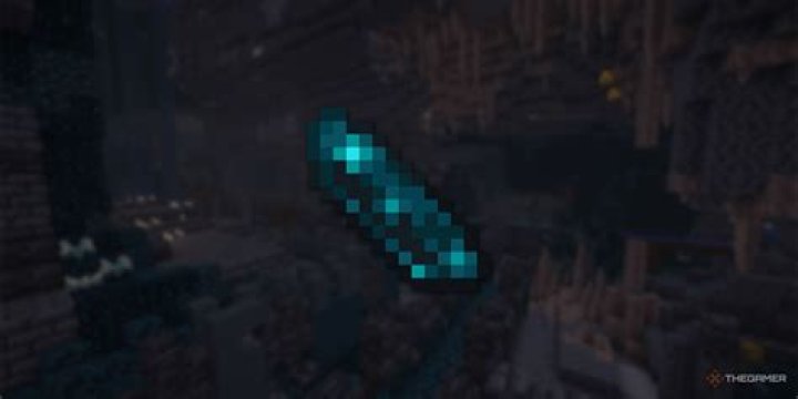 Minecraft Echo Shard