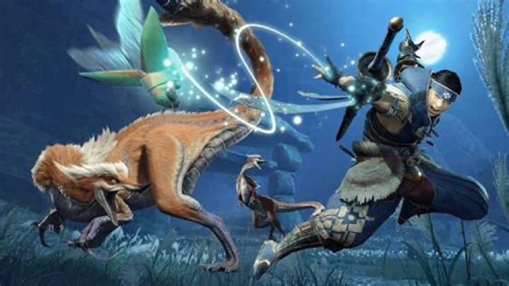 
Monster Hunter Rise: Fortunate Effect Explained