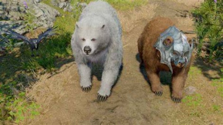 Moon Druid Beast Master build guide in BG3