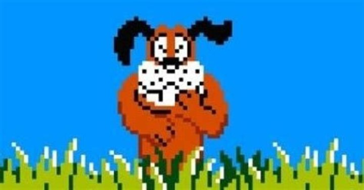 NES Duck Hunt headed to Wii U Virtual console