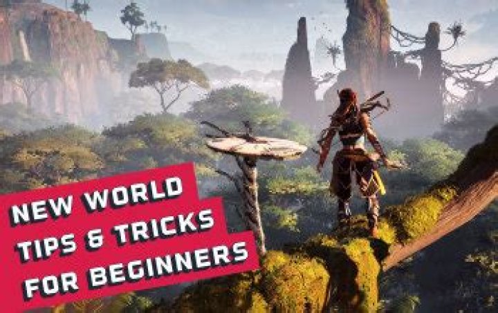 new world beginners tips and tricks