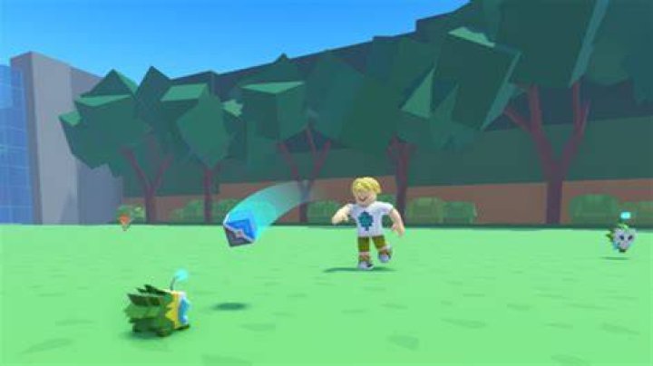 Pet Fighting Simulator
