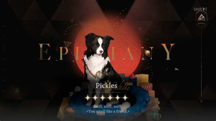 Pickles Character Guide (Best Build & Psychubes)