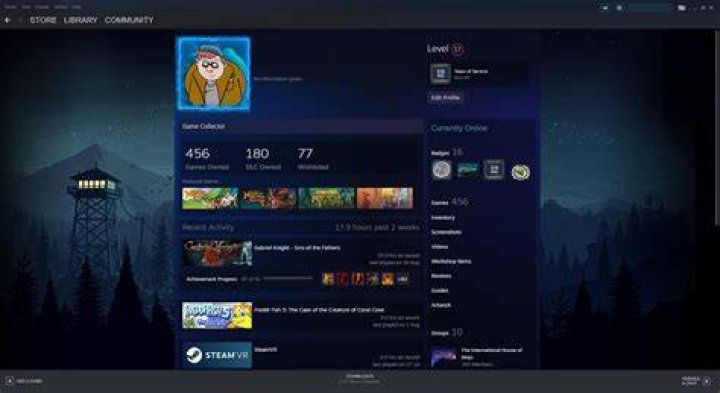 profile steam